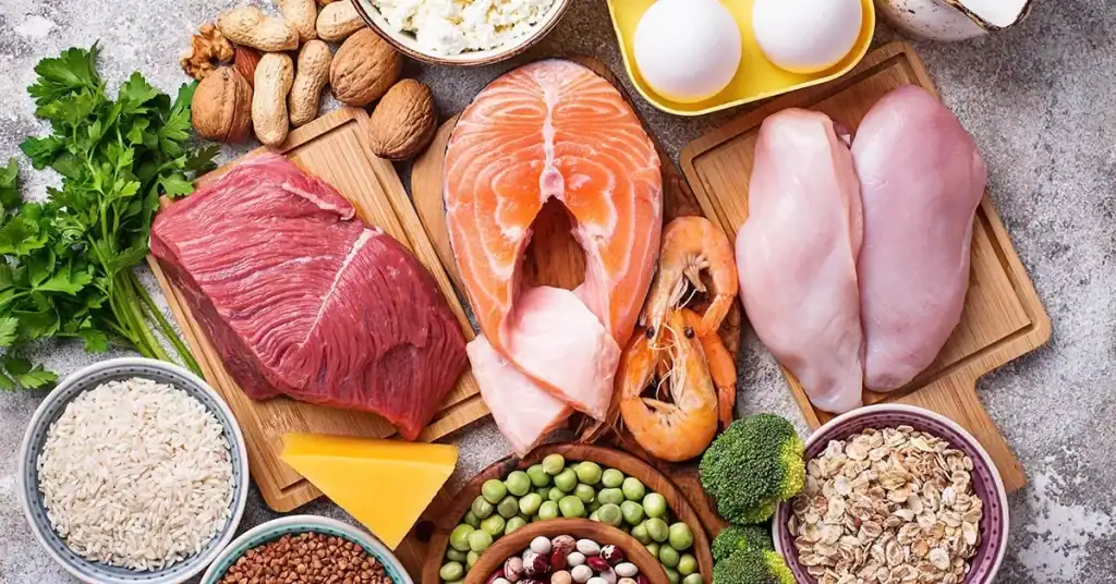 Protein Food
